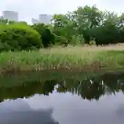 Ročenka jakosti povrchových vod v povodí Moravy 2019-2020