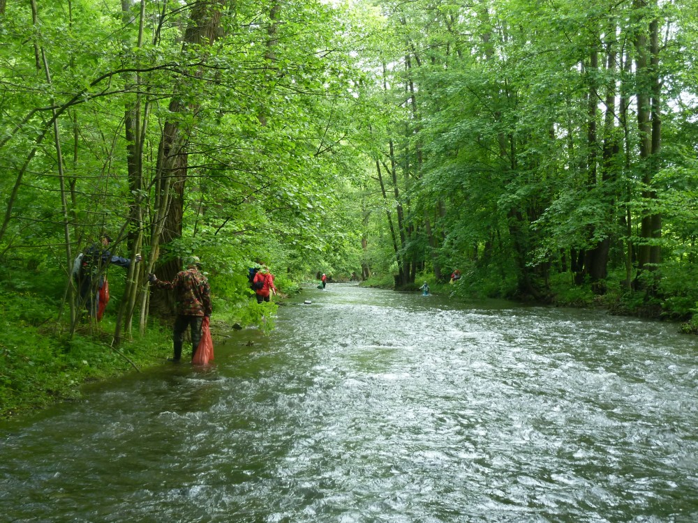 Čištění Bystřice 18.5.2013