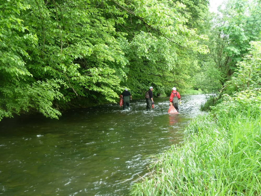 Čištění Bystřice 18.5.2013