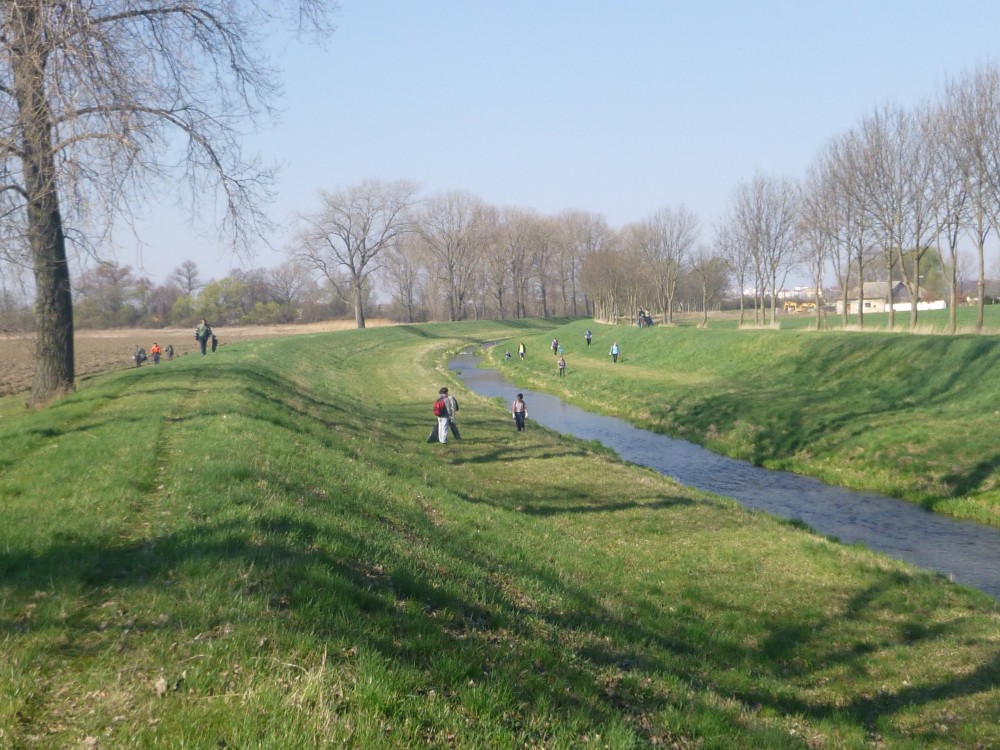 Úklid Veličky