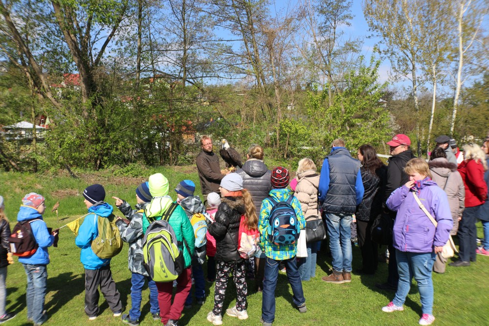 Ukázka dravců, Den Země, Znojmo, 21. 4. 2017