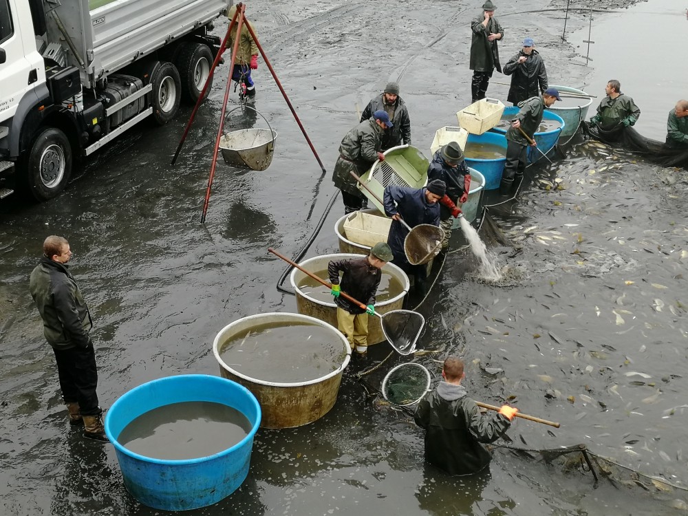 Foto 2577