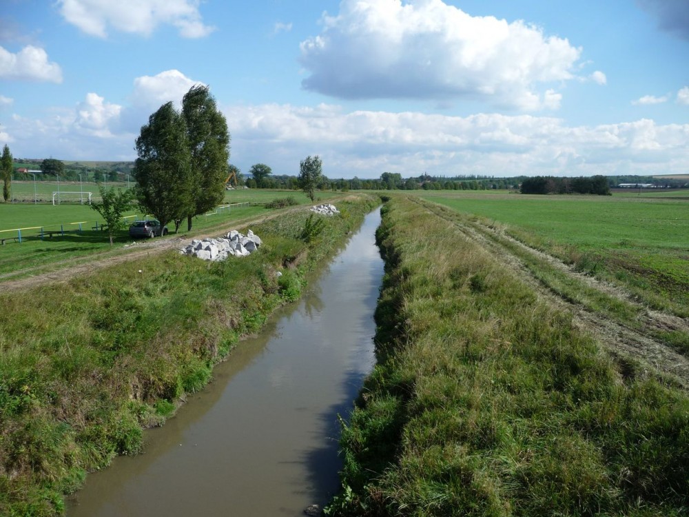 Litava