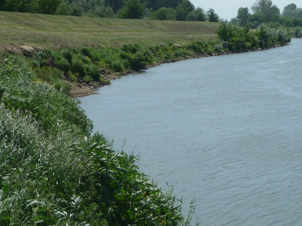 Morava